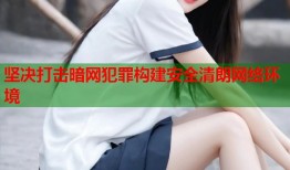 坚决打击暗网犯罪构建安全清朗网络环境
