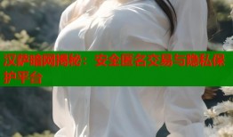 汉萨暗网揭秘：安全匿名交易与隐私保护平台