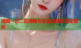 暗网一区二区揭秘与安全风险防范全解析