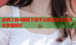 丝绸之路4暗网下载平台极速安全资源全掌握解析