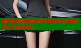 暗网猎奇性爱网站揭秘暗黑世界的隐秘交易与风险探索