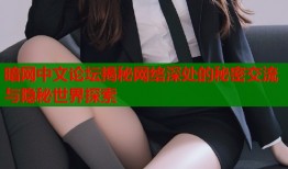 暗网中文论坛揭秘网络深处的秘密交流与隐秘世界探索
