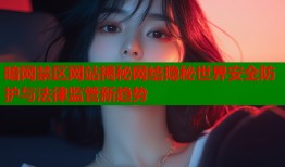 暗网禁区网站揭秘网络隐秘世界安全防护与法律监管新趋势