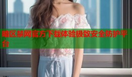 暗区禁网官方下载体验极致安全防护平台