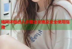 暗网详细进入步骤全攻略及安全使用指南