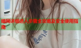 暗网详细进入步骤全攻略及安全使用指南