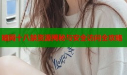 暗网十八禁资源揭秘与安全访问全攻略