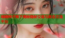 暗网柿子殿下揭秘隐秘交易与匿名交流平台