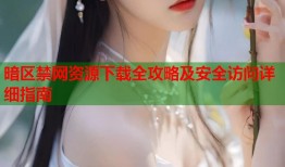 暗区禁网资源下载全攻略及安全访问详细指南