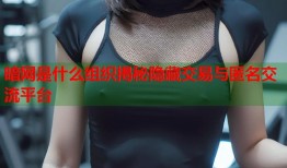 暗网是什么组织揭秘隐藏交易与匿名交流平台