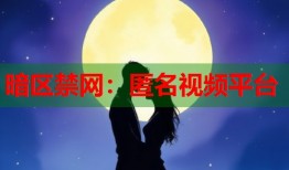 暗区禁网：匿名视频平台