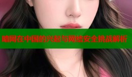 暗网在中国的兴起与网络安全挑战解析