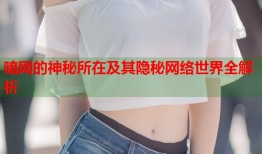 暗网的神秘所在及其隐秘网络世界全解析