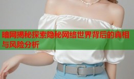 暗网揭秘探索隐秘网络世界背后的真相与风险分析