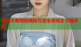 暗网洋葱网络揭秘与安全使用全攻略详解