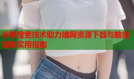 谷歌搜索技术助力暗网资源下载与数据提取实用指南