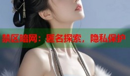 禁区暗网：匿名探索，隐私保护