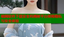 暗网软件下载安全吗揭秘平台保障隐私与安全体验