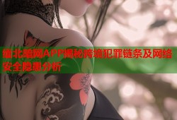 缅北暗网APP揭秘跨境犯罪链条及网络安全隐患分析