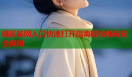 暗区禁网入口快速打开指南轻松畅玩安全保障