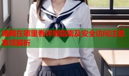 暗网在哪里看详细指南及安全访问注意事项解析
