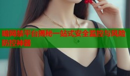 暗网禁平台揭秘一站式安全监控与风险防控神器