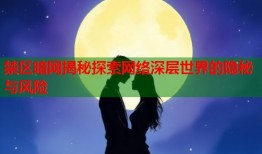 禁区暗网揭秘探索网络深层世界的隐秘与风险
