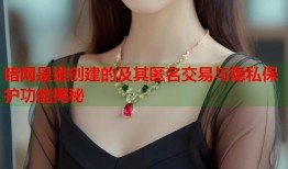 暗网是谁创建的及其匿名交易与隐私保护功能揭秘
