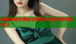 暗网禁地址揭秘与网络安全防护新策略探讨