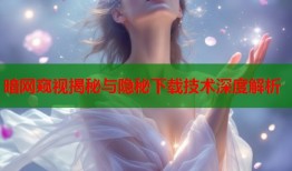 暗网窥视揭秘与隐秘下载技术深度解析