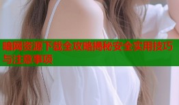 暗网资源下载全攻略揭秘安全实用技巧与注意事项