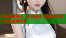 禁区暗网揭秘：匿名网络下的黑市交易与安全隐患探索