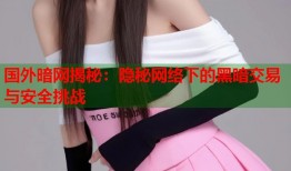 国外暗网揭秘：隐秘网络下的黑暗交易与安全挑战