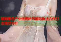 暗网黑色产业链揭秘与国际执法合作打击现状分析