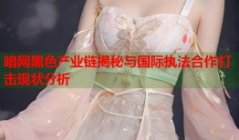 暗网黑色产业链揭秘与国际执法合作打击现状分析