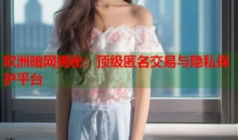 欧洲暗网揭秘：顶级匿名交易与隐私保护平台