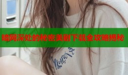 暗网深处的秘密美剧下载全攻略揭秘
