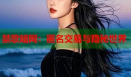 禁歌暗网：匿名交易与隐秘世界