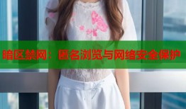 暗区禁网：匿名浏览与网络安全保护