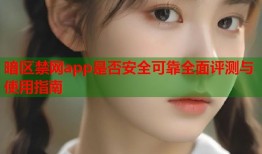 暗区禁网app是否安全可靠全面评测与使用指南