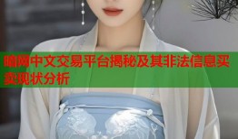 暗网中文交易平台揭秘及其非法信息买卖现状分析
