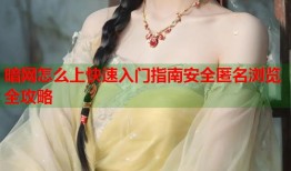 暗网怎么上快速入门指南安全匿名浏览全攻略