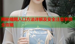 揭秘暗网入口方法详解及安全注意事项全攻略