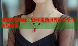 暗网密钥揭秘：数字黑暗世界的安全与挑战探索