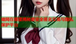 暗网在哪里揭秘最安全匿名交易与隐私保护平台