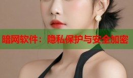暗网软件：隐私保护与安全加密