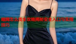 暗网怎么找全攻略揭秘安全入口与实用技巧