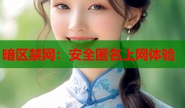 暗区禁网：安全匿名上网体验