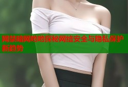 网禁暗网哟哟探秘网络安全与隐私保护新趋势