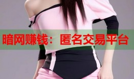 暗网赚钱：匿名交易平台